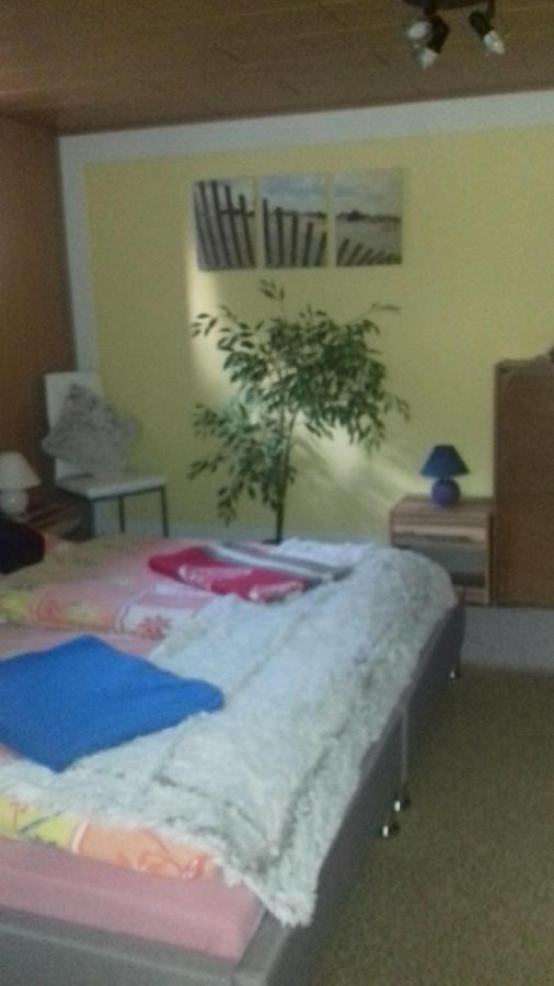 Ferienwohnungen Langer Altenberg Bagian luar foto